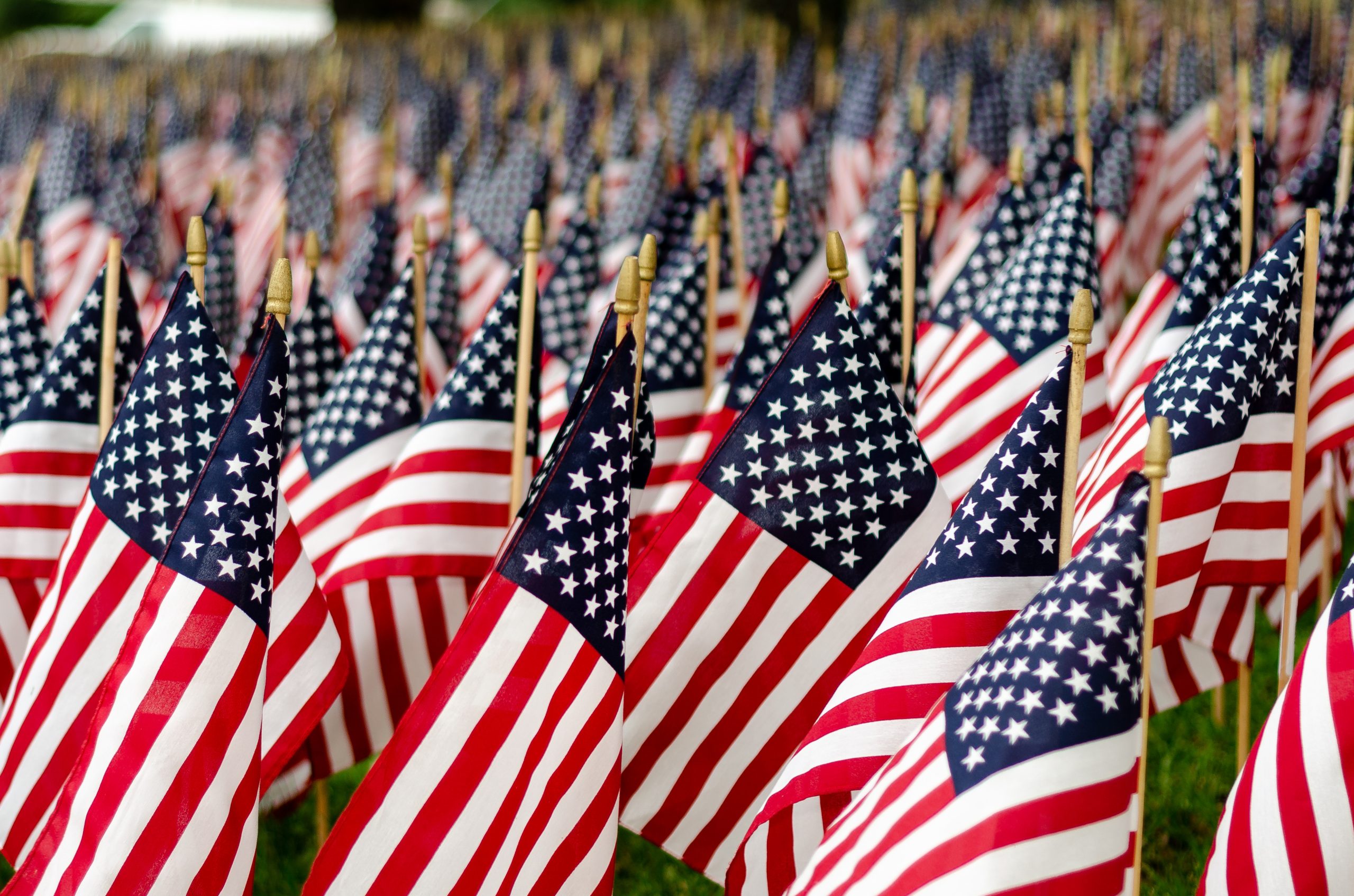 Field of American Flags on Memorial Day