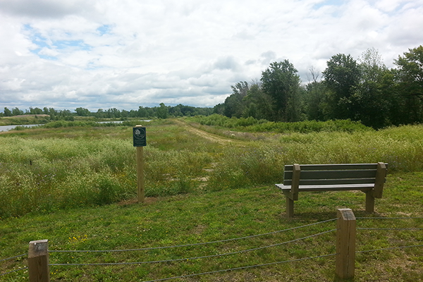A bench overlooks a grassy field, a grove of trees, and a small pond in the distance.
